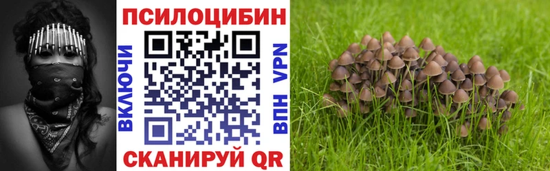 MEGA как войти  Красавино  Галлюциногенные грибы Psilocybe  площадка официальный сайт  где можно купить  